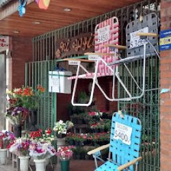 Vivero Y Flores 