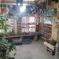 Vivero Y Regionales Del Centro