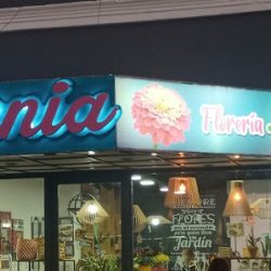 Zinnia Florería - Deco Hogar